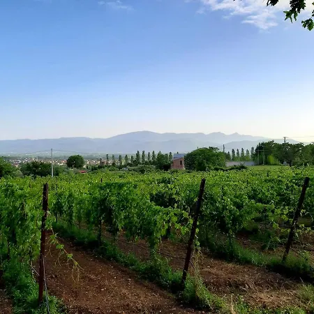 Bed&wine Terrae Tiferni