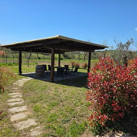 Bed and breakfast Bed&wine Terrae Tiferni