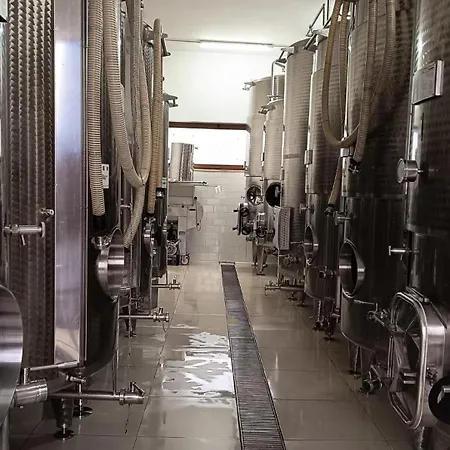 Couette-café Bed&wine Terrae Tiferni 3*